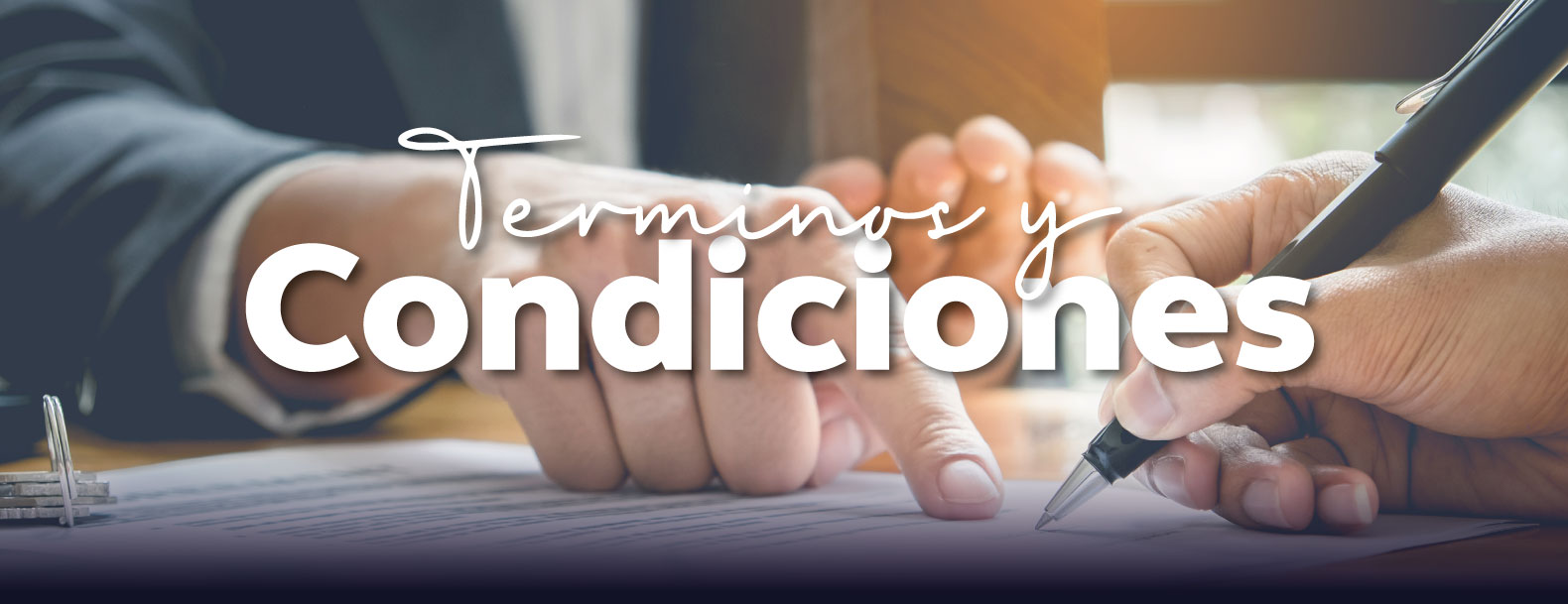 Terminos 